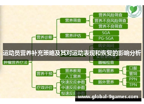 运动员营养补充策略及其对运动表现和恢复的影响分析